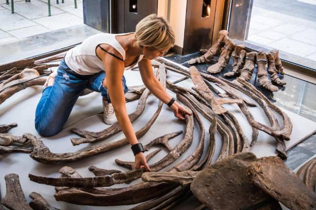 Big John je prispel v Pariz