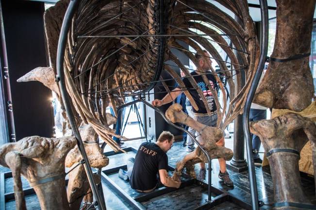 Big John je prispel v Pariz