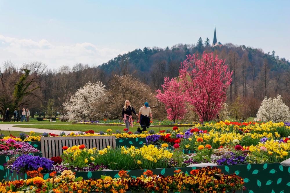 V Arboretumu Volčji Potok tradicionalna spomladanska razstava cvetja in tulipanov