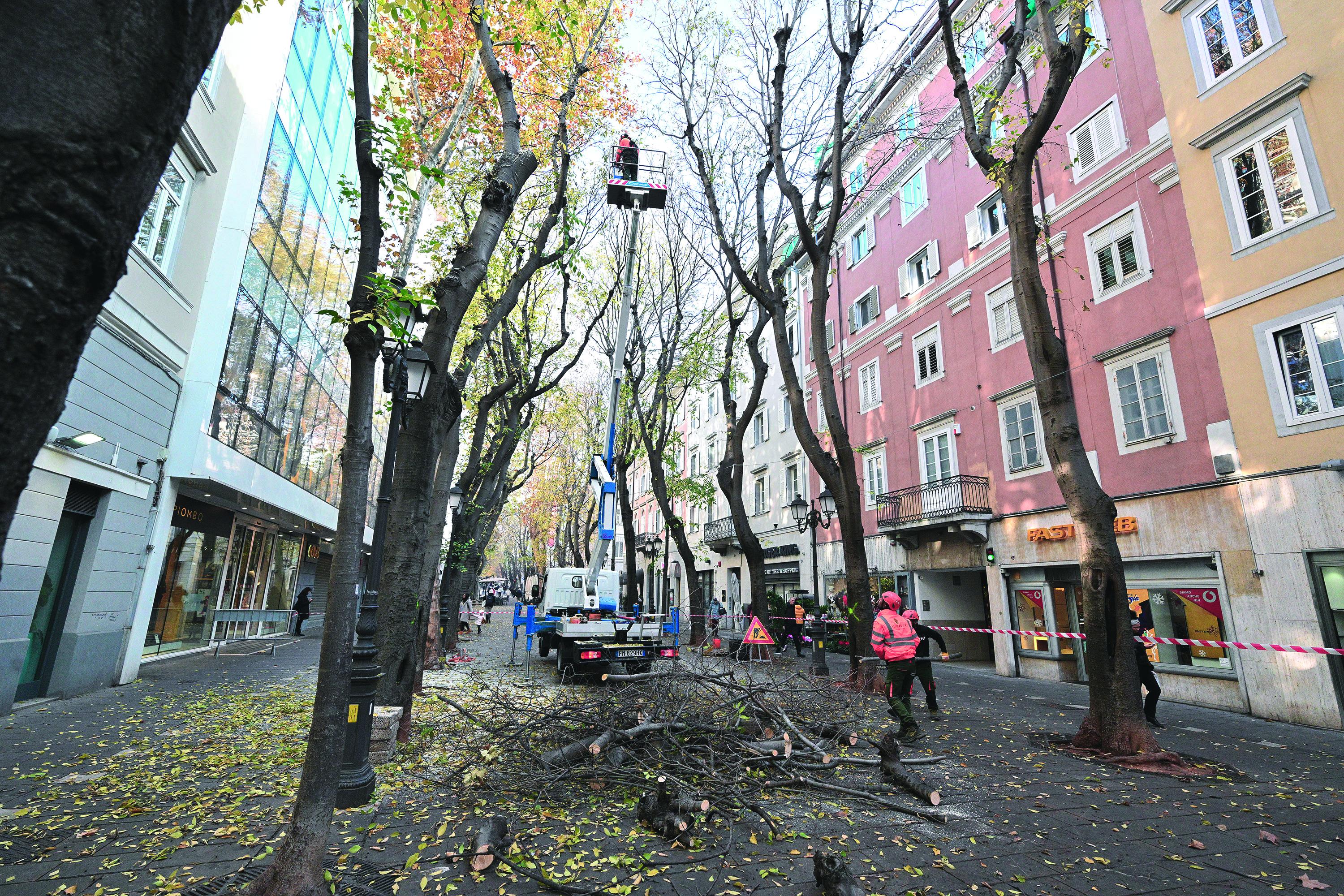 Ponekod beton prekriva 90% ozemlja