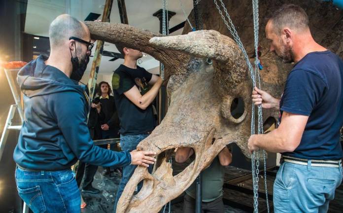 Big John je prispel v Pariz