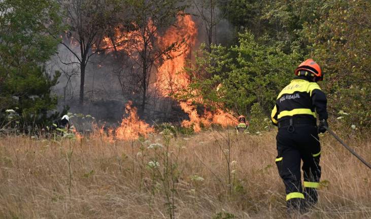 Pred enim letom na Krasu razsajal najhujši požar
