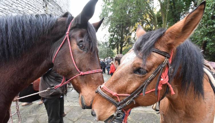 Zakaj na štefanovo blagoslavljajo konje