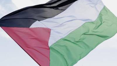 Palestinska zastava (ANSA)