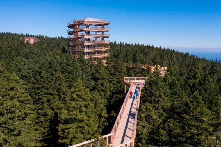 Nepozabne počitnice na Zreškem pohorju