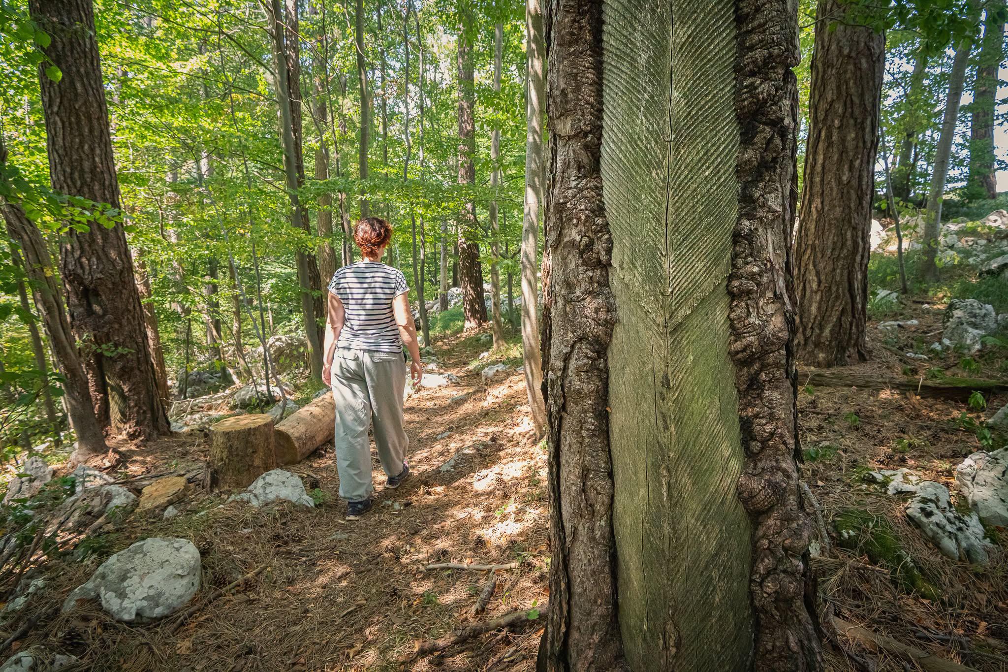 Ohranjajo spomin na dediščino smolarjev