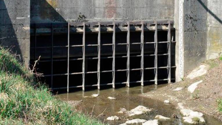 Obramba za obe Gorici