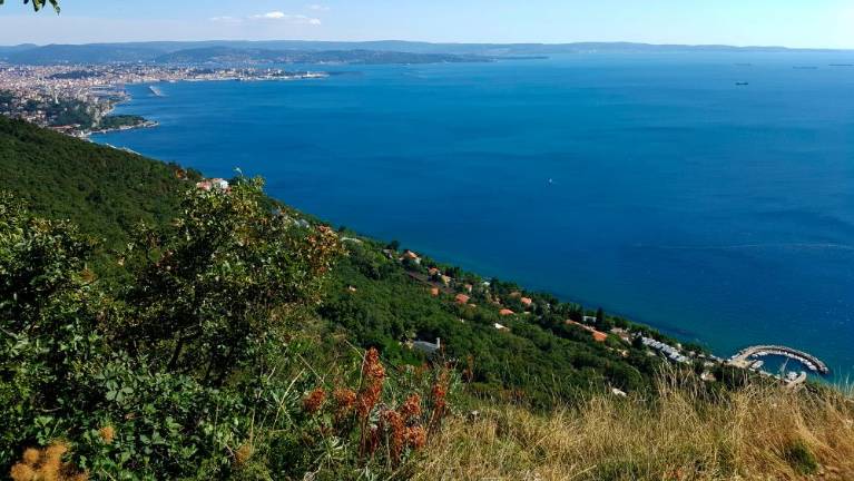 Vzpenjača med Vejno in Barkovljami