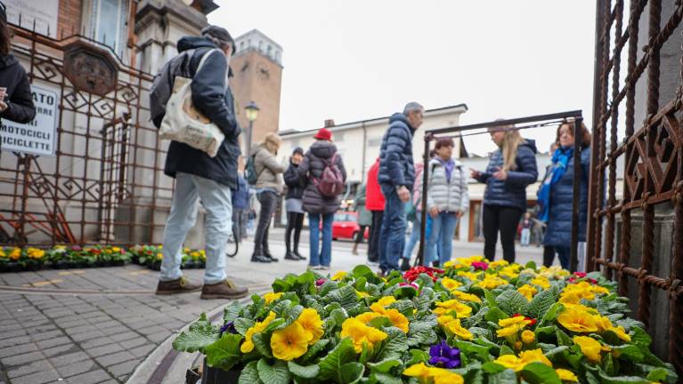 Valentinovo s protestnim shodom