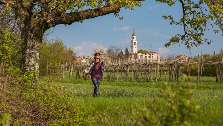 Festival Kraška gmajna vabi mesec dni