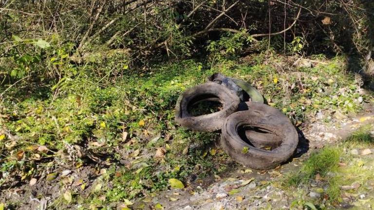Ob Soči pobrali več kot pol tone odpadkov
