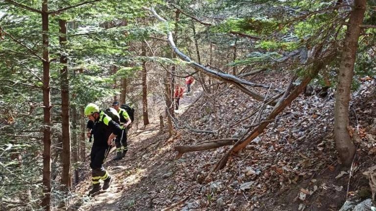 Pri Tipani še niso našli pohodnika