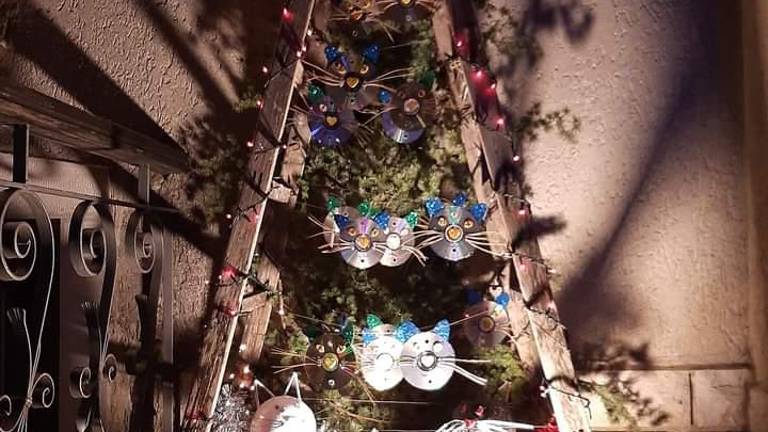 Najlepši borjači in najboljše sladice