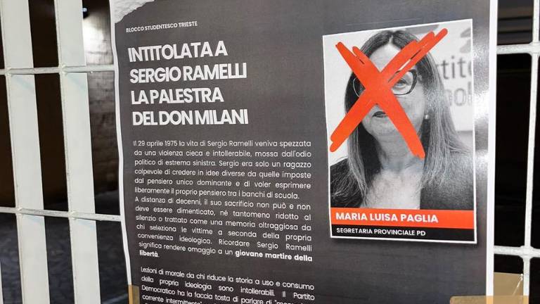 Pred šolo napad na DS in njeno vodjo