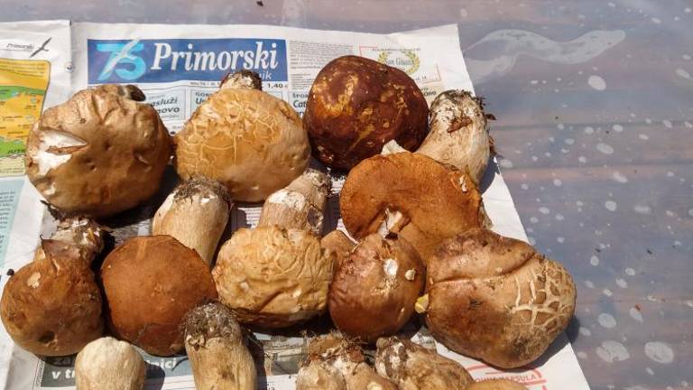 Fotoutrip ‘20 - junij