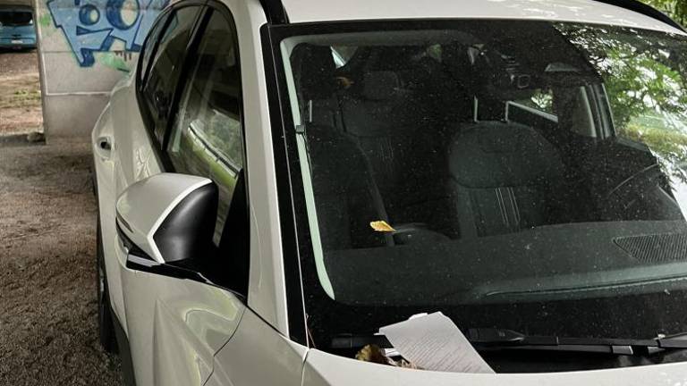 Strah pred točo jih je drago stal