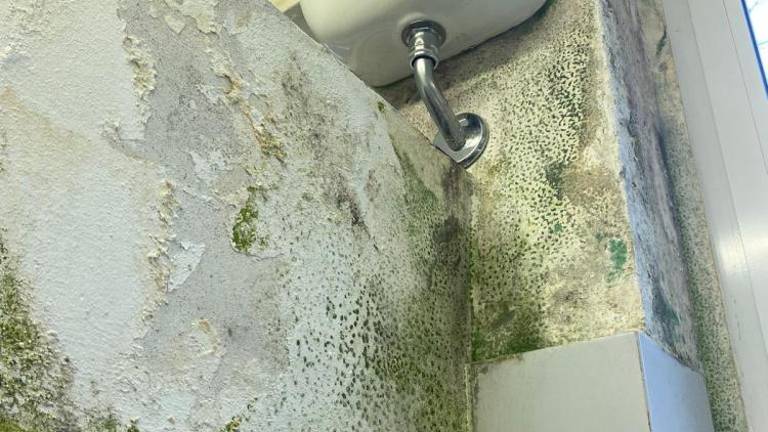 Na liceju Slomška dijaki protestirajo zaradi mraza