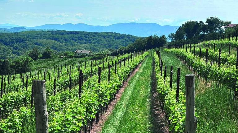 »Odvzem statusa gorske občine ogroža prihodnost številnih krajev«