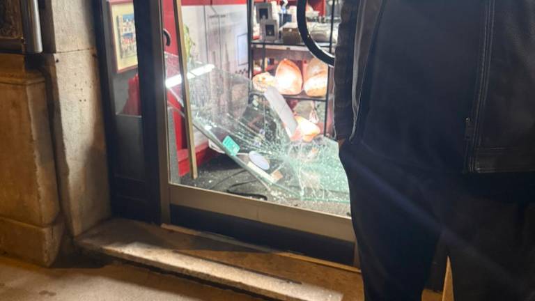 Poskus tatvine ustavili sosedje