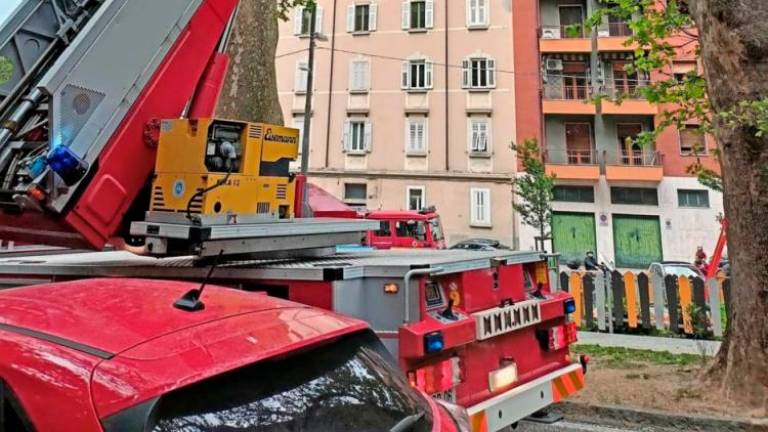 Koprski gasilci v Trstu rešili otroško igrišče