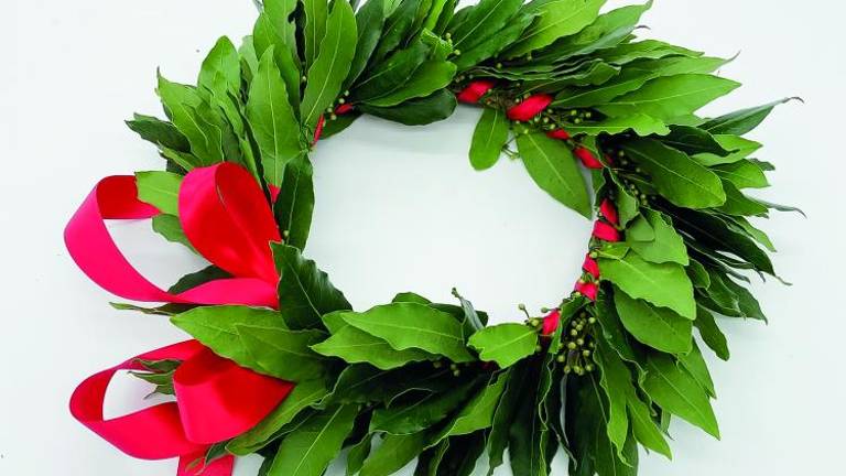 Tatjana Rojc za lažje priznavanje diplom v Italiji