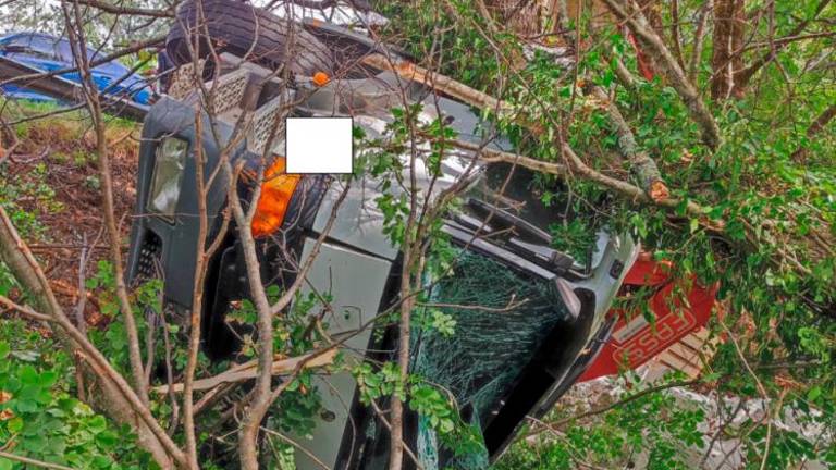 Pijan s tovornjakom zapeljal s ceste in zadel sršenje gnezdo