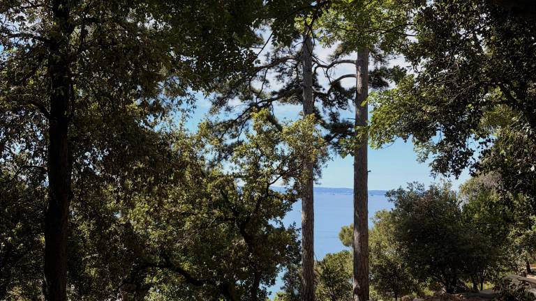 Po štirih desetletjih preporod pešpoti med Miramarskim gradom in postajo