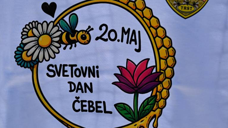 Svetovni dan čebel