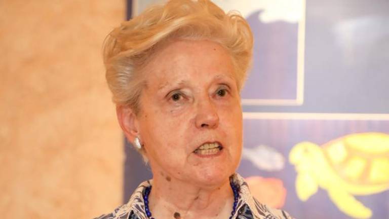 Zgodbe v risbi in besedi