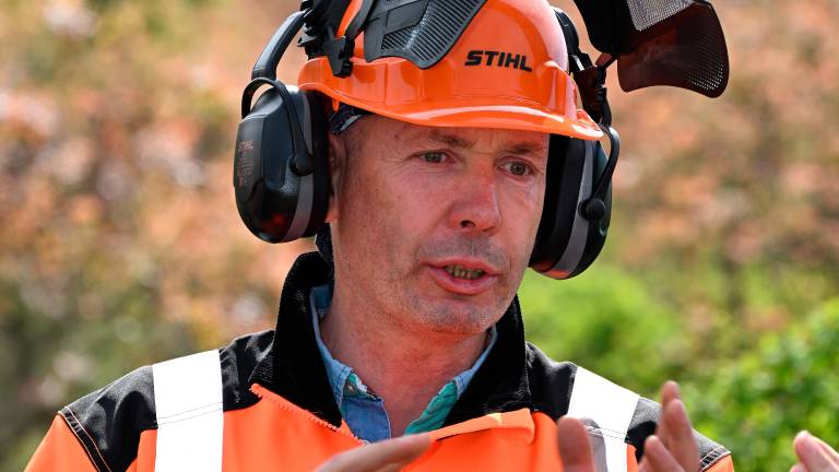 Čiščenje kraške gmajne pri Štivanu