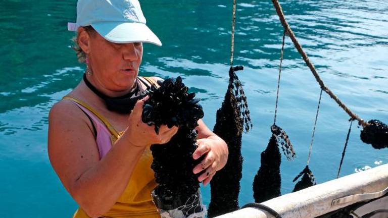 Na morju z gojitelji klapavic