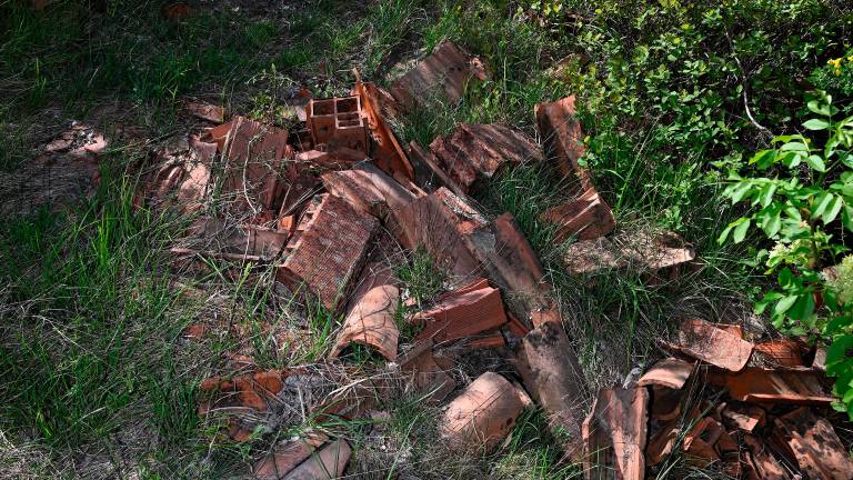 Čiščenje kraške gmajne pri Štivanu