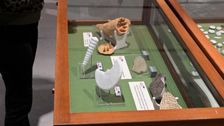 V kamnu se skrivajo umetnine