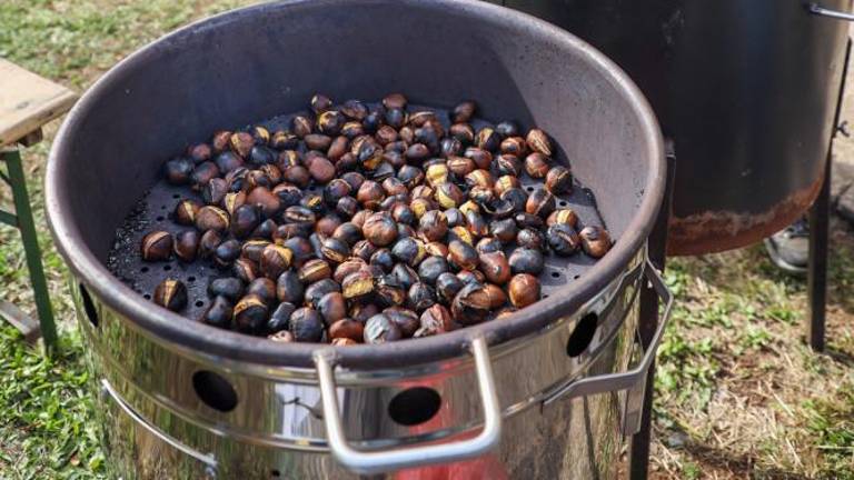 Pred kostanjem na Kremenjak