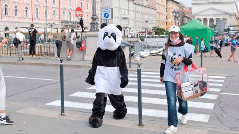 Petki za prihodnost v Trstu