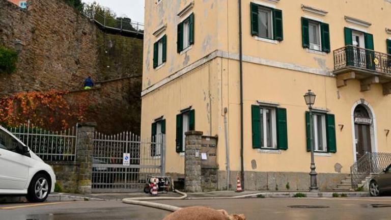 Poplave v Trstu in Miljah