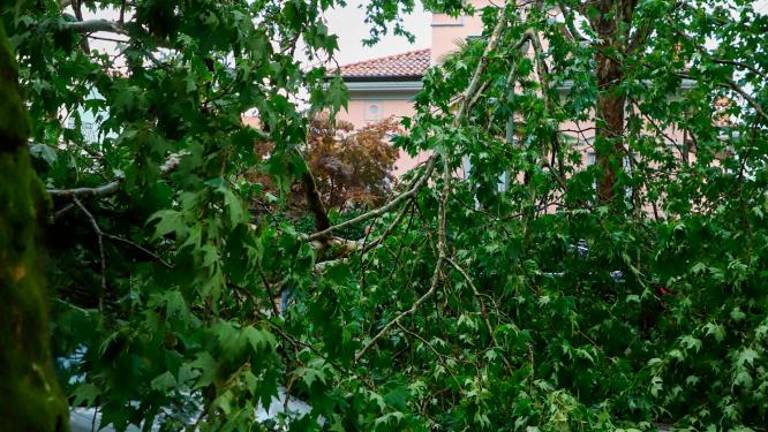 Na Goriškem pustošilo neurje (foto)