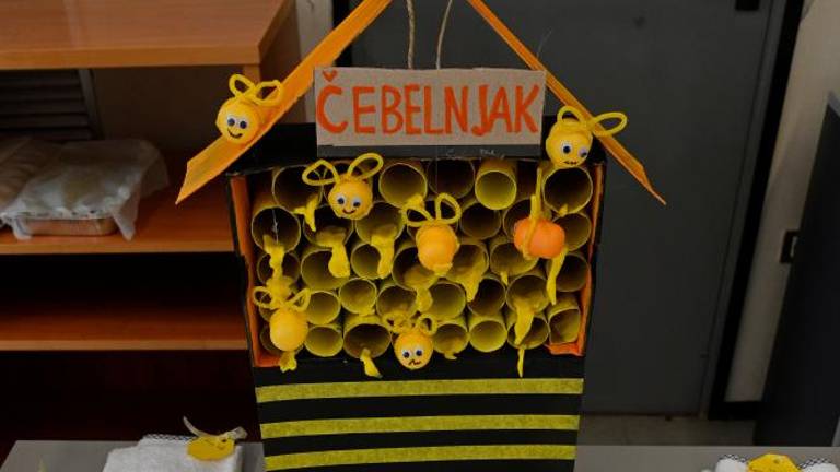 Ob svetovnem dnevu čebel
