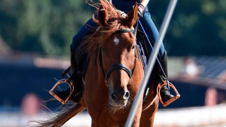 Na Dolgi kroni so spet tekmovali