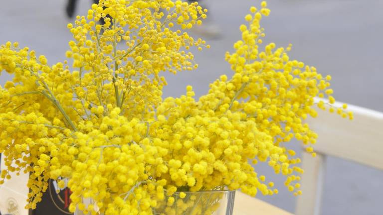 Ob osmem marcu ženske brezplačno v muzeje