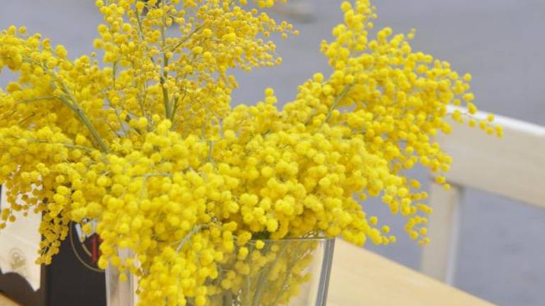 Ob mednarodnem dnevu ugodnosti za ženske