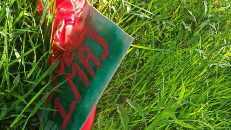 Dekliški mlaj na Špiku že drugič na tleh