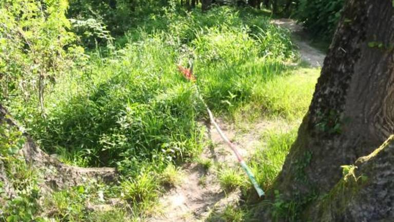 Dekliški mlaj na Špiku že drugič na tleh