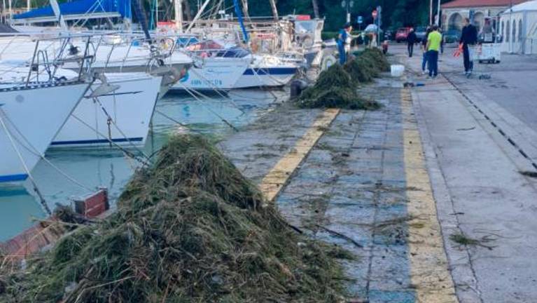V Grljanu odstranjevali posledice poplav (FOTO)