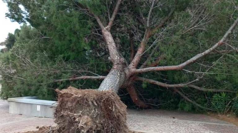 Burja dosegla hitrost 120 km/h in povzročala nevšečnosti