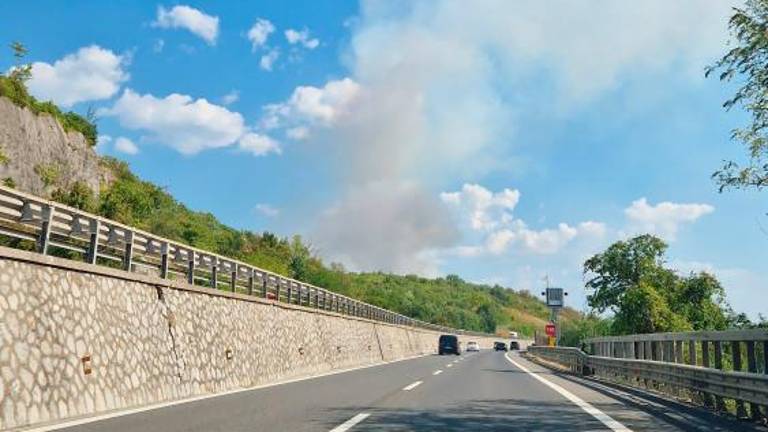 Požar pod nadzorom (foto in video)