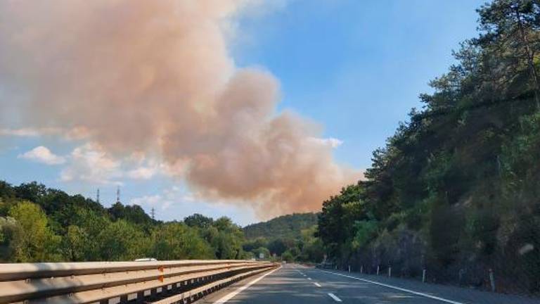 Požar pod nadzorom (foto in video)