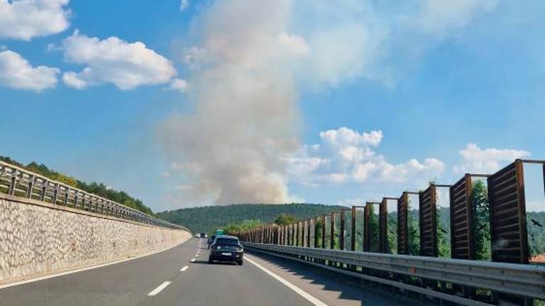 Požar pod nadzorom (foto in video)