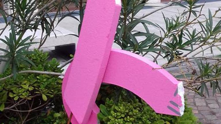 Brezsrčni vandali razbili že štiri rožnate pentlje