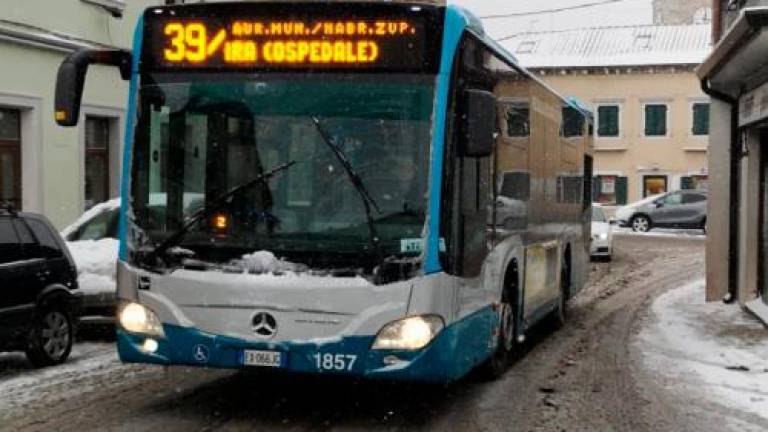 Sneg ovira avtobusni promet